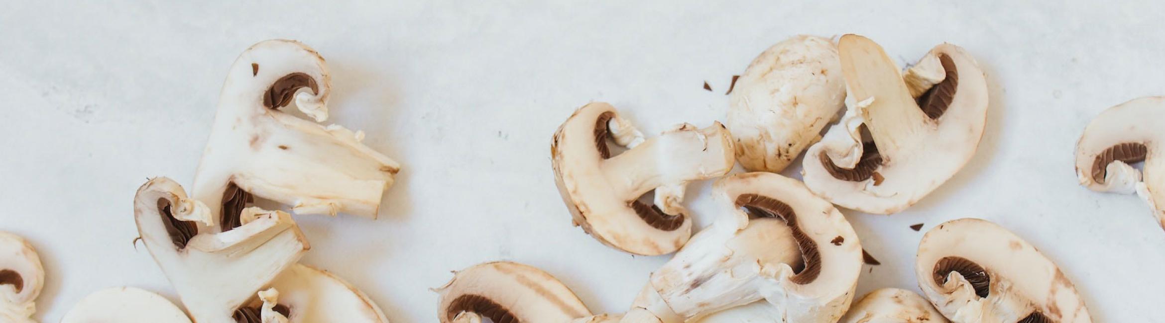 header_mushrooms.jpg