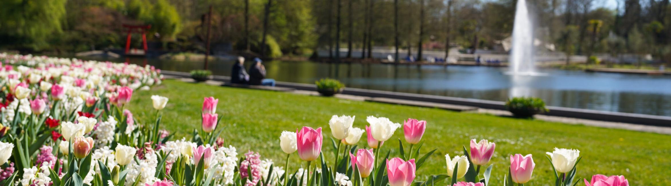 kasteeltuinen-arcen-tulpenvijver.jpg