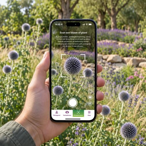 app-kasteeltuinen-gebruik.jpg